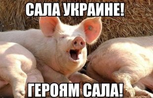 Скабеева снова выгнала украинского эксперта "навсегда", но зрители ей не поверили