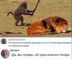 Веселые фотки с надписями