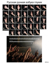 Прикольные и смешные картинки