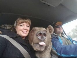 А не лучше пригласить его в салон машины?
.