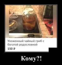 Веселые фотки с надписями