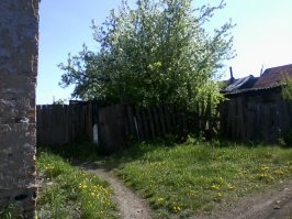 заброшенный сад