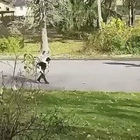 А нефиг было спорить