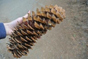 Летние гифки