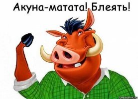 Нокаут от кабана