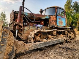 Мой дачник))