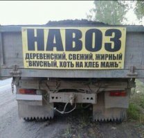 Прикольные и смешные картинки