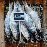 Прикольные и смешные картинки