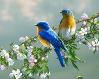 Какая то размазня. Вот гораздо качественнее