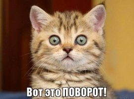 Гифки дня