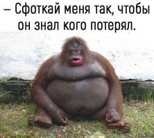 Картинки с надписями