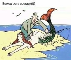 Прикольные и смешные картинки
