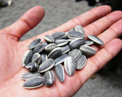 Комплект не полон. Без этого не клюнет: