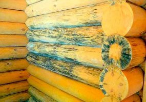 Как правильно обрабатывать изделия маслом для дерева — советы новичкам