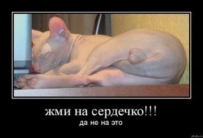 Кто сказал, что сфинксы - противные существа? Они само очарование!