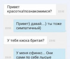 Кто сказал, что сфинксы - противные существа? Они само очарование!