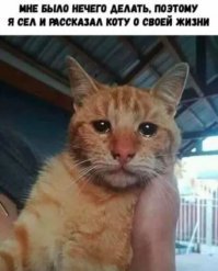 недавнее, себе сохранил. получается баян, но к месту