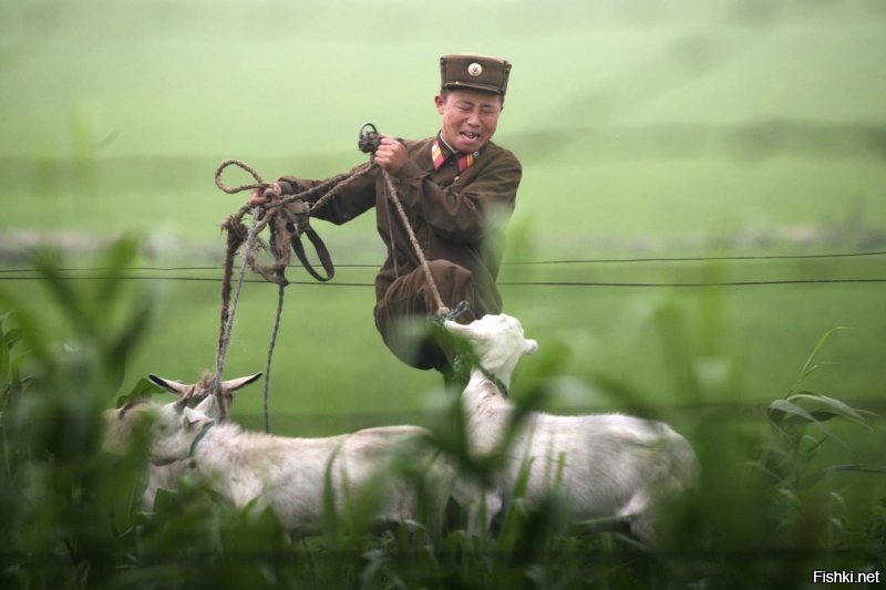 А ты дружишь?