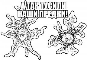 Прикольные и смешные картинки