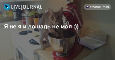 Так это понятно ....как всегда Лёликины домыслы......А где доказательство того что наркоту ему подбросили то? 

ЛЮБОЙ барыга и нарик так начнёт визжать.....И следов на руках у него может и не быть т.к. расфасовку делают в перчатках и в крови могут не обнаружить ибо первое правило барыги "Свой товар не употреблять!"