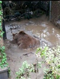 20 человек, у которых выдался слишком плохой день
