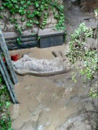 20 человек, у которых выдался слишком плохой день