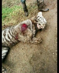 20 человек, у которых выдался слишком плохой день