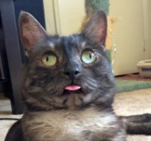 До зарядки...