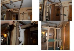 У меня попроще.
В квартире и доме- но впрочем в доме им и деревьев хватает