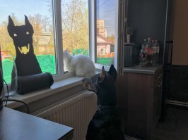 Пост о дружбе