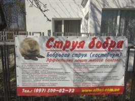 А это лекарство от безграмотности.