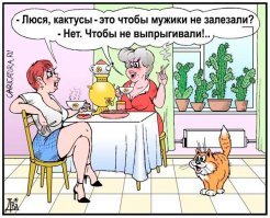 Ну котики, скажу, так себе.
А вот наши котики Дюдюкина