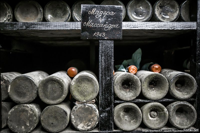 Кстати, во время оккупации Крыма немцами завод «Массандра» продолжал работу. Часть вин, разлитых в 1942-1943 годах, можно также увидеть в коллекции.