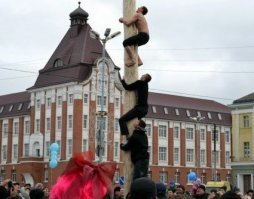 вот тебе реальные дикие обезьяны...а то любители)))