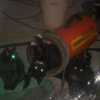А ко мне вчера пришло вот такое чудо