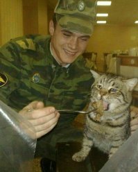 Котейку жалко... десятку мотать за подброшенный кокс.
Вы только посмотрите в его глаза.
Боль. Безысходность...