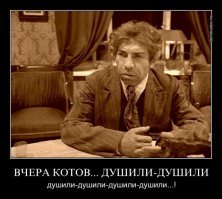 800 тысяч за кота Алибасова. Приметы беглеца