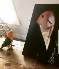 Позитивные новости о России 13.06.2019