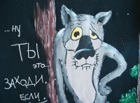 30 собак после стрижки: пост в котором мимимишность просто зашкаливает