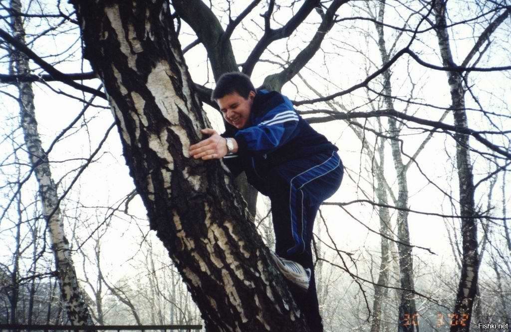 Мужик дерево. Мужчина залез на дерево. Парень залез на дерево. Парень лезет на дерево.