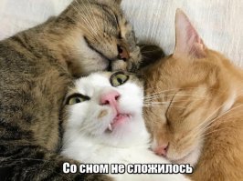 Прикольные и смешные картинки