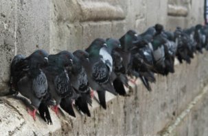 Если вы считаете, что вами никто не манипулирует, значит вы в руках профессионалов