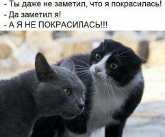 Мужское — женское: Возможность острова