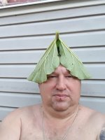 "Классически" лопух используется совсем по другому, а это... всё равно, что туалетной бумагой голову обернуть !))