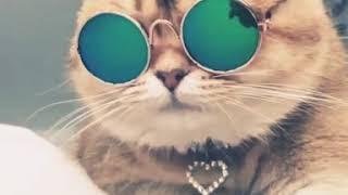 Самый лучший день...