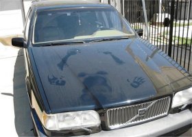 18 смешных надписей на машинах от креативных водителей