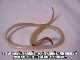 есть хорошее мужское кино - showgirls. Где-то в середине проводят кастинг. Очень цинично, но показательно. Когда вокруг множество актеров и есть из чего выбирать, внешность является первостепенным фактором. Для мюзикла, например, востребован типаж лайзы минелли. Даже почитать биографии некоторых советских актеров, нередко встретишь фразы типа "испытывал проблемы из-за нестандартной внешности" итд.

я начинаю собирать глупые картинки: