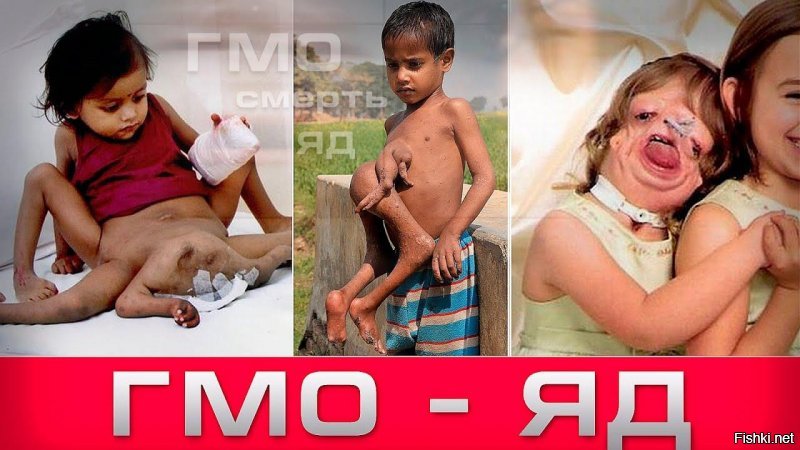ВЫЖИТЬ в мире ГМОфобии