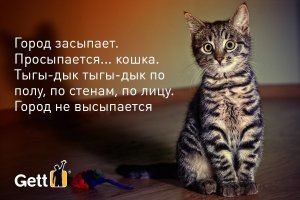 19 комиксов, которые демонстрируют, что жизнь с котом — это отдельная профессия