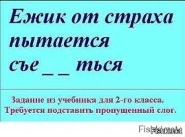 "Упс, ошибочка вышла!": 16 глупых ляпов, которые стали достоянием общественности